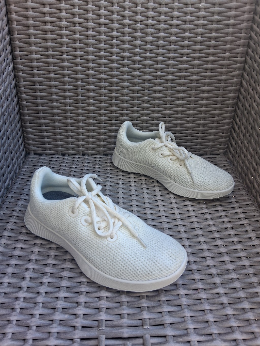 New Allbirds Knit Lace-Up Beige Sneakers
